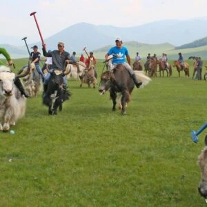 Polo players compete on a grassy field surrounded by stunning mountain scenery, highlighting the sport's elegance and nature's beauty